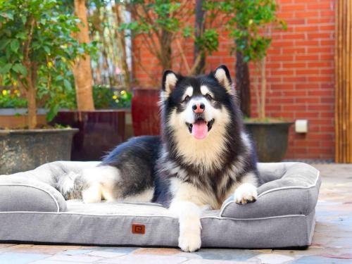 EHEYCIGA Orthopedic Dog Beds Large Sized Dog, Waterproof Memory Foam Pet Bed with Sides, Non-Slip Bottom Large Pet Bed with Washable Removable Cover.